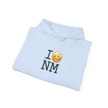 "I'm Drunk in New Mexico" Hoodie