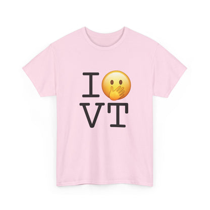 "I Messed Up (Oops) in Vermont" Tee