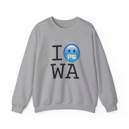 "I'm Cold in Washington" Sweatshirt