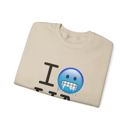 "I'm Cold in Washington" Sweatshirt