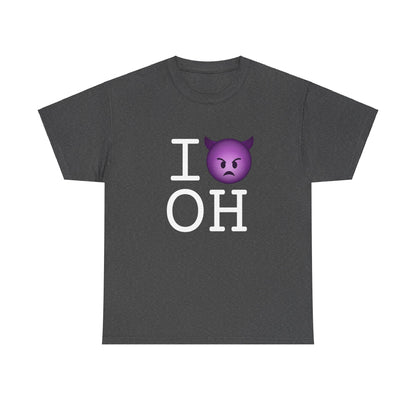 "I'm an Angry Devil about Ohio" Tee