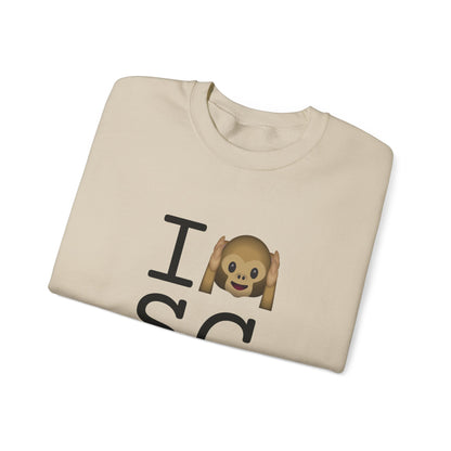 "I Don't Hear South Carolina" Sweatshirt