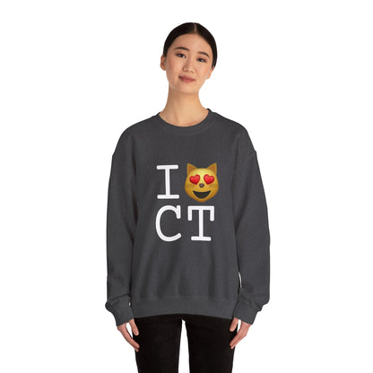 "I'm a Cat that Loves Connecticut" Sweatshirt