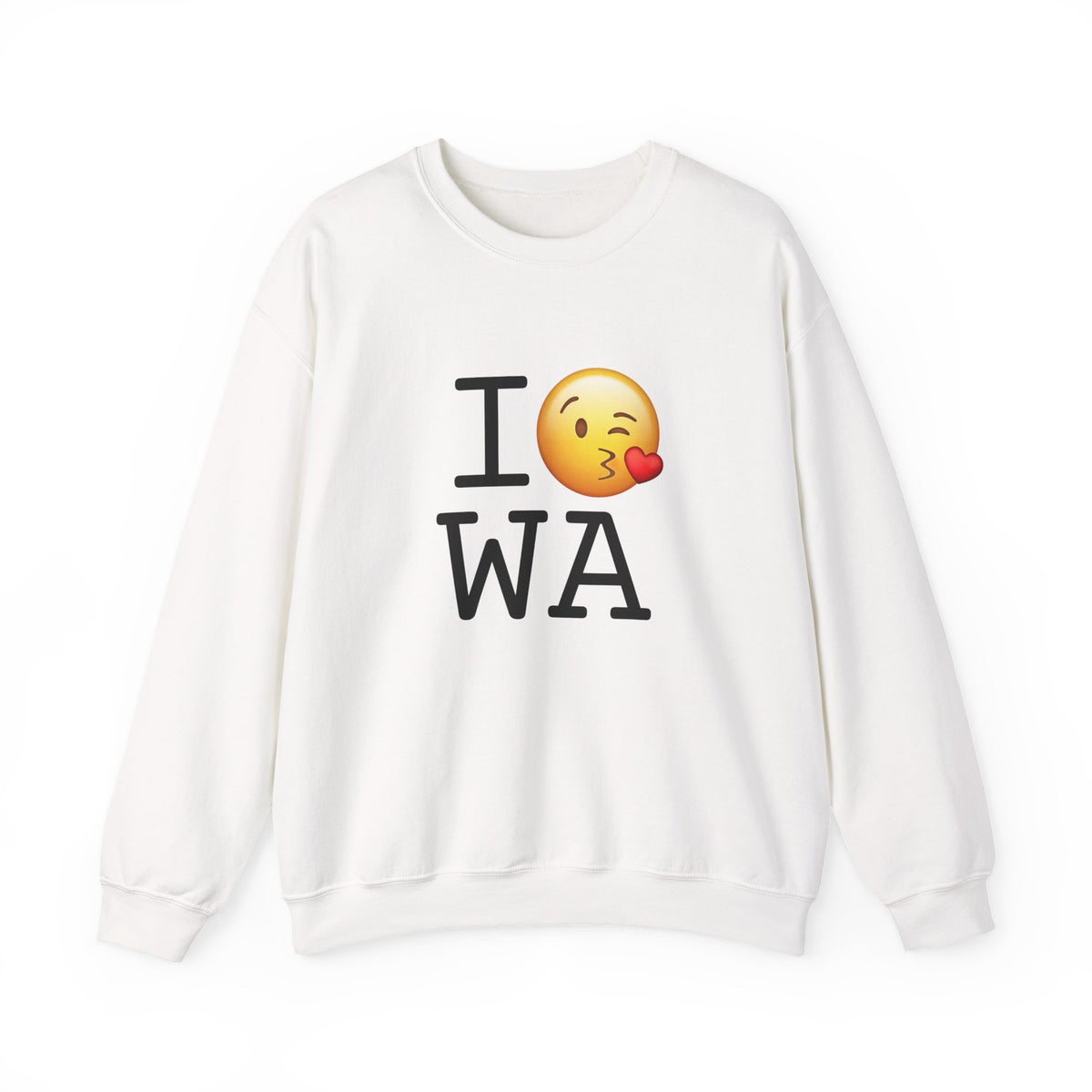 "I Blow a Kiss at Washington" Sweatshirt