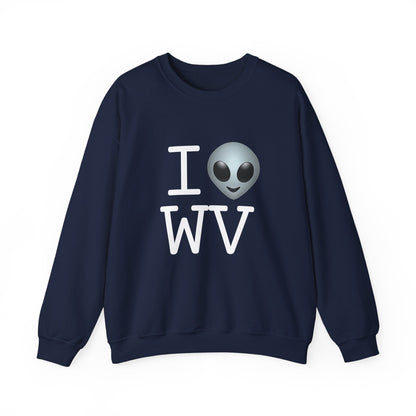 "I Feel Alien in West Virginia" Sweatshirt