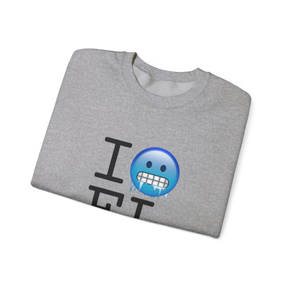 "I'm Cold in Florida" Sweatshirt