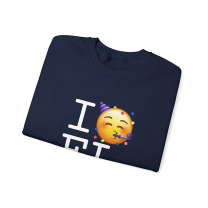 "I Celebrate Florida" Sweatshirt