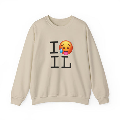 "I'm Hot in Illinois" Sweatshirt