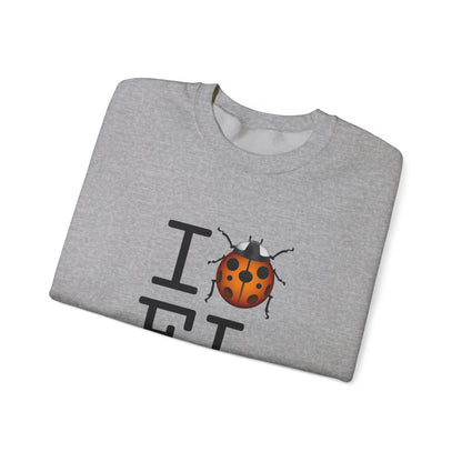 "I Ladybug Florida" Sweatshirt