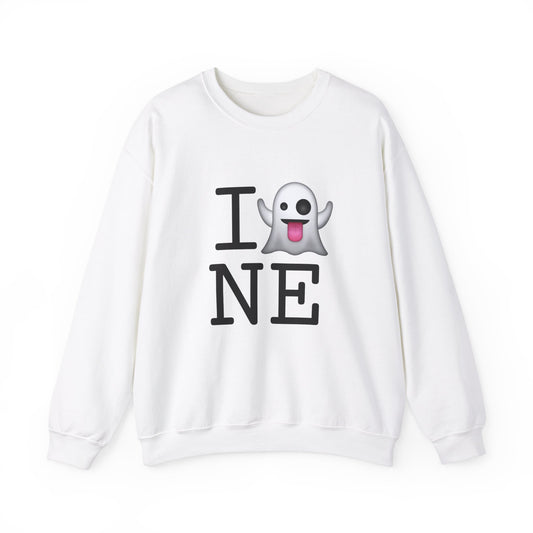 "I'm Ghosting Nebraska" Sweatshirt