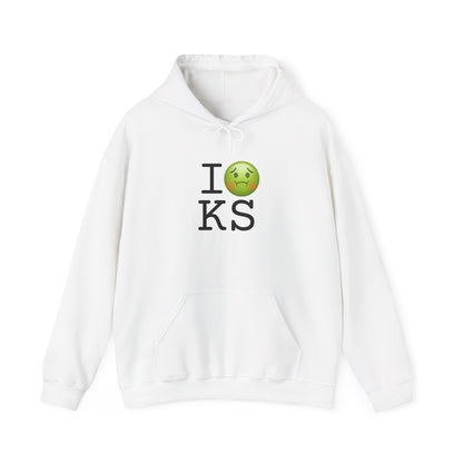 "I'm Nauseous about Kansas" Hoodie