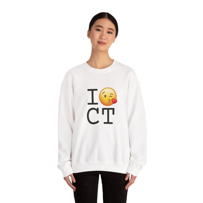 "I Blow a Kiss at Connecticut" Sweatshirt
