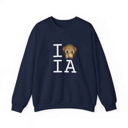 "I Don't Speak about Iowa" Sweatshirt