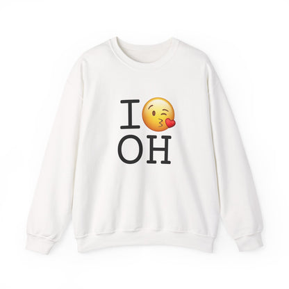 "I Blow a Kiss at Ohio" Sweatshirt