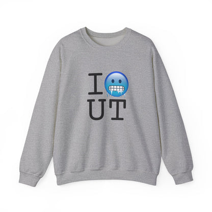 "I'm Cold in Utah" Sweatshirt