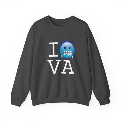 "I'm Cold in Virginia" Sweatshirt