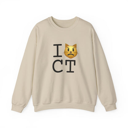 "I'm a Pouting Cat about Connecticut" Sweatshirt