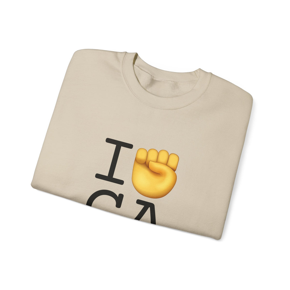 "I Raise my Fist with Georgia" Sweatshirt