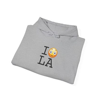 "I'm Embarrassed by Louisiana" Hoodie