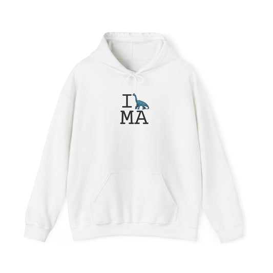 "I'm a Dinosaur in Massachusetts" Hoodie