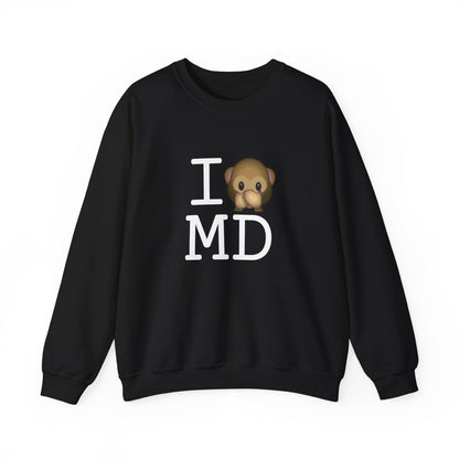 "I Don't Speak about Maryland" Sweatshirt