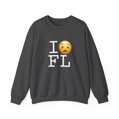 "I'm Anguished about Florida" Sweatshirt