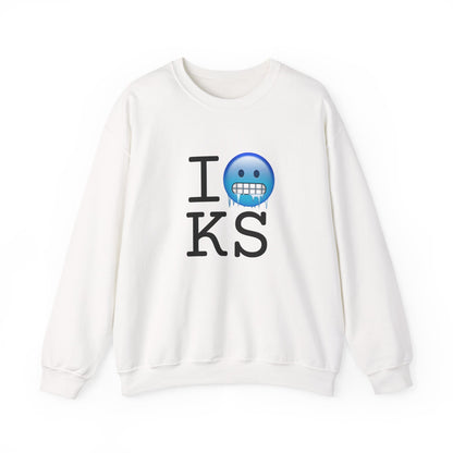 "I'm Cold in Kansas" Sweatshirt
