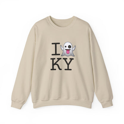 "I'm Ghosting Kentucky" Sweatshirt