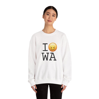 "I'm Confounded by Washington" Sweatshirt
