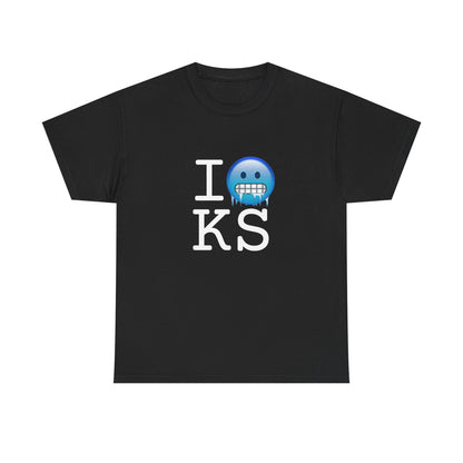 "I'm Cold in Kansas" Tee