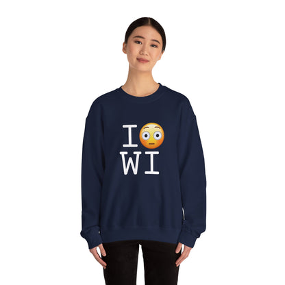 "I'm Embarrassed by Wisconsin" Sweatshirt