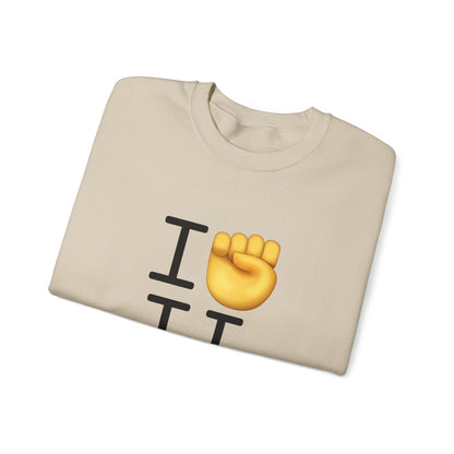 "I Raise my Fist with Illinois" Sweatshirt