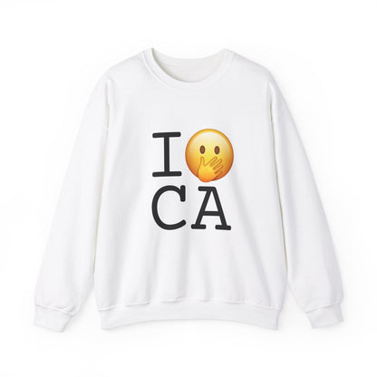 "I Messed Up (Oops) in California" Sweatshirt