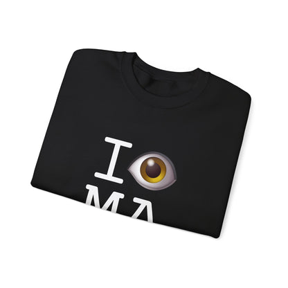 "I See (Eye) Massachusetts" Sweatshirt