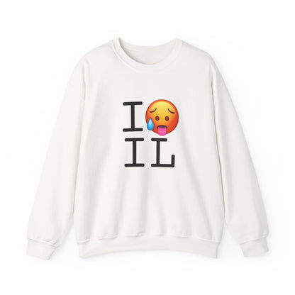 "I'm Hot in Illinois" Sweatshirt