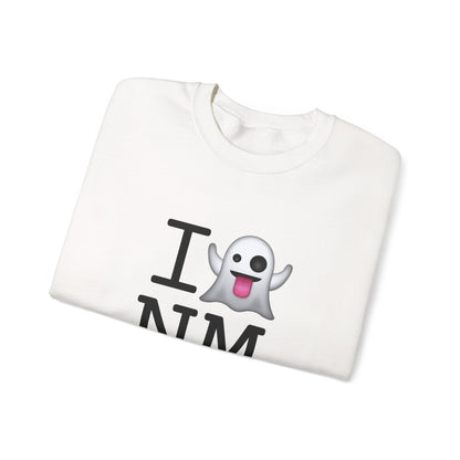 "I'm Ghosting New Mexico" Sweatshirt