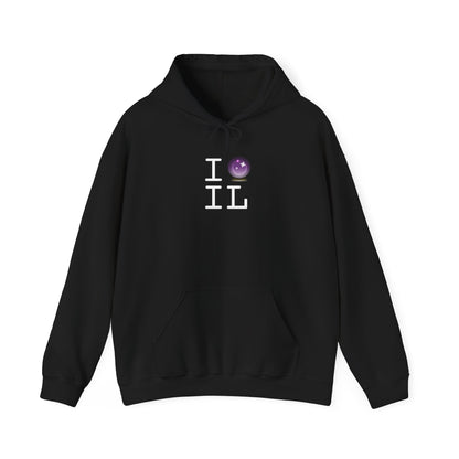 "I Predict the Future (Crystal Ball) of Illinois" Hoodie