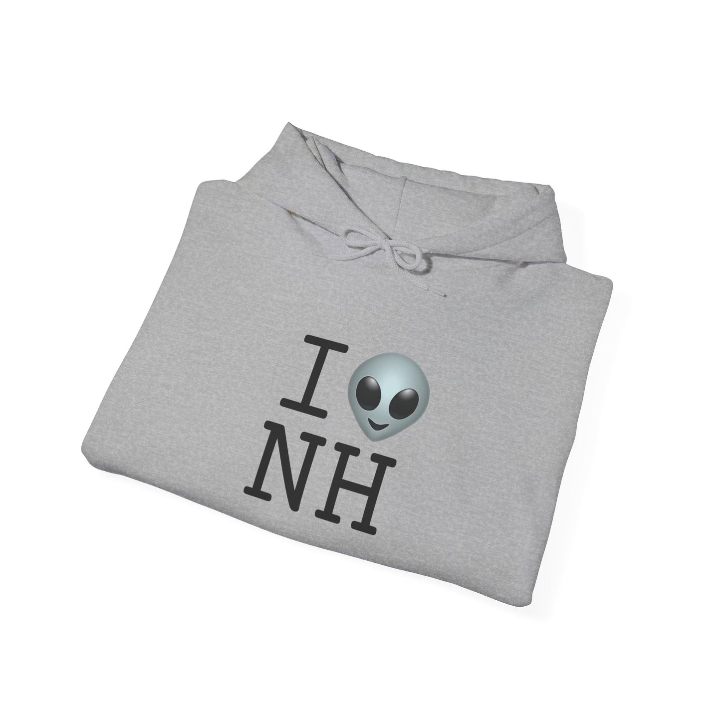 "I Feel Alien in New Hampshire" Hoodie