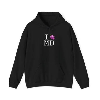 "I Grape Maryland" Hoodie