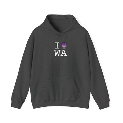 "I Predict the Future (Crystal Ball) of Washington" Hoodie