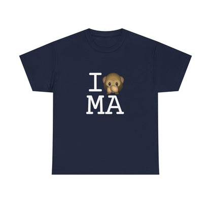 "I Don't Speak about Massachusetts" Tee