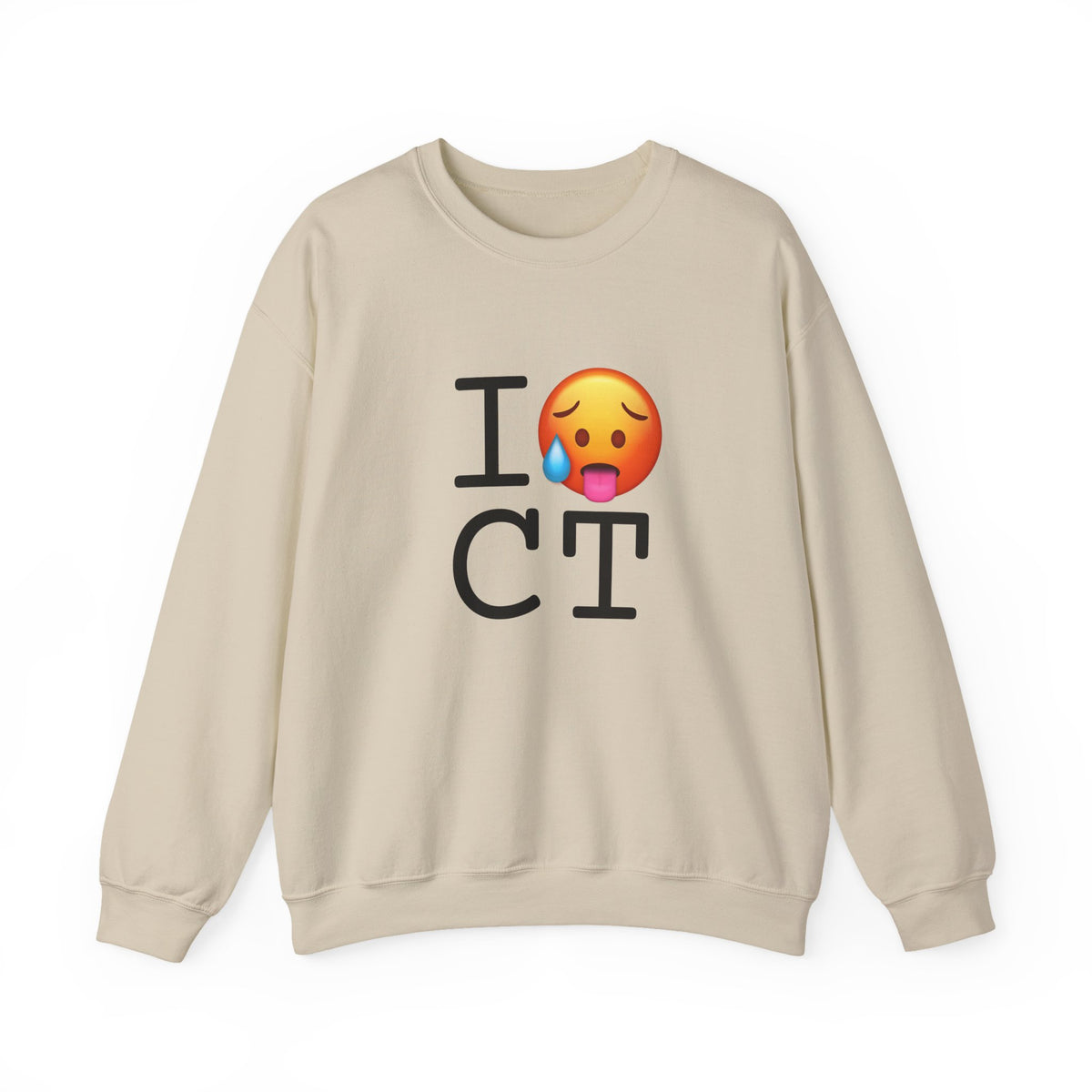 "I'm Hot in Connecticut" Sweatshirt