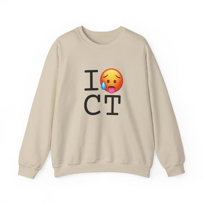 "I'm Hot in Connecticut" Sweatshirt