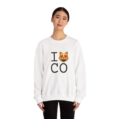 "I'm a Cat that Loves Colorado" Sweatshirt
