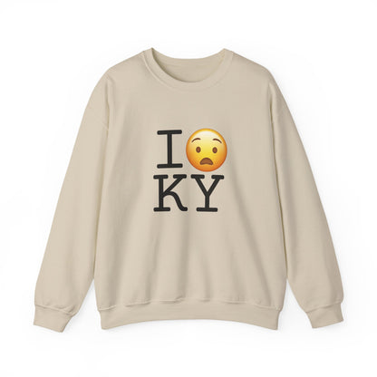 "I'm Anguished about Kentucky" Sweatshirt