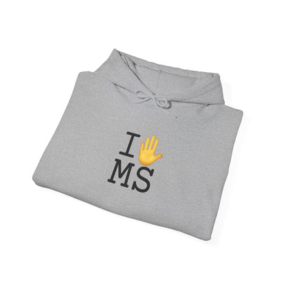 "I Stop (Raised Hand) Mississippi" Hoodie