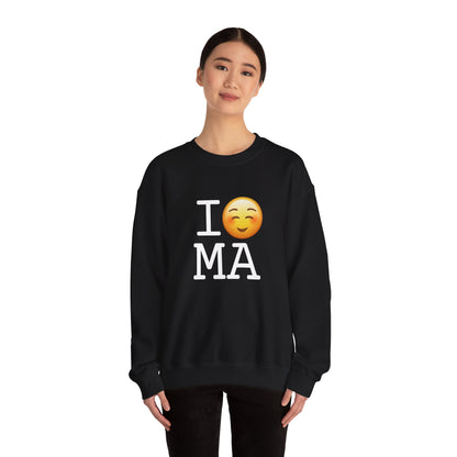 "I Blush at Massachusetts" Sweatshirt