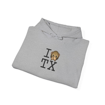 "I Don't Speak about Texas" Hoodie