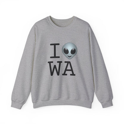 "I Feel Alien in Washington" Sweatshirt