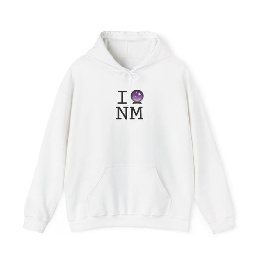 "I Predict the Future (Crystal Ball) of New Mexico" Hoodie